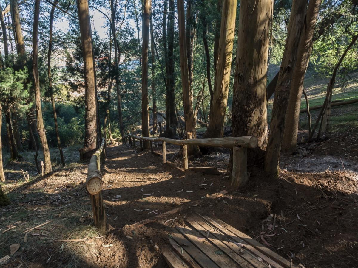Saffronstays Milton Abbott Estate, ウーティ エクステリア 写真